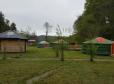 Glan Mydyr Woodland Yurts