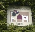 The Mole And Chicken