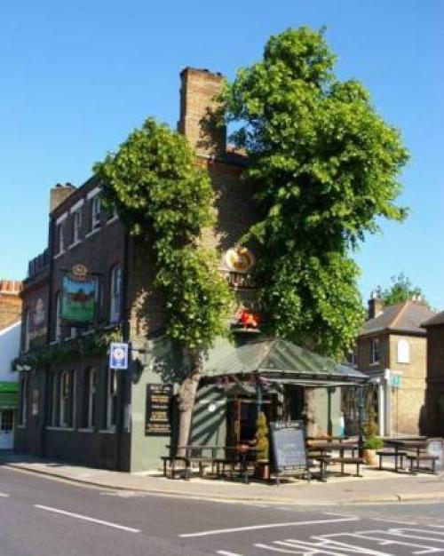 The Red Cow - Guest House, Richmond upon Thames, 