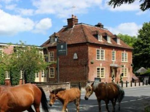 The Bell Inn Hotel, , Hampshire