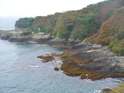 Guernsey