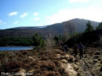 Cairngorm Mountains