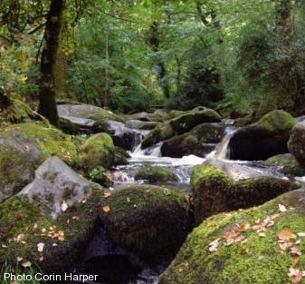 Dartmoor National Park