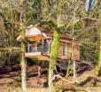 The Tree House - Eco-friendly, Back To Nature Experience