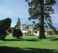 Mercure Maidstone Great Danes New Year Break