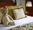 Drayton Court Hotel