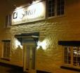 The Swan