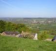 Coedmor Cottages