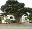Old School Mews
