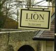 The Lion