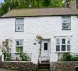 Bron Rallt Newydd