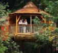 Forest of Dean Lodges