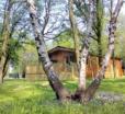 Bluewood Lodges