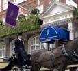 The Goring