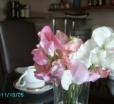Moray Bay Bed And Breakfast