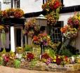 Bear Crickhowell