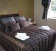 The Dog In Over Peover