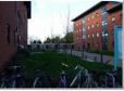 Servite Houses