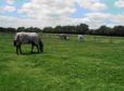 The Stables - Deer Park Farm