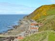 Crovie