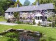 Eithin Fynydd