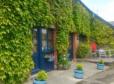 The Ivy Barn B&b