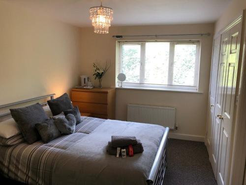 Serviced Accommodation, Audley, 