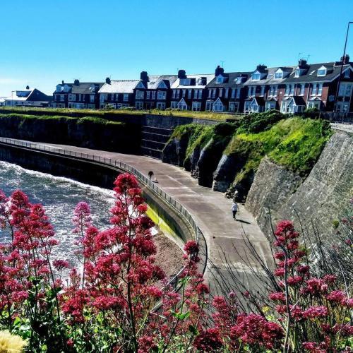 Beautiful Studio Apartment - On The Sea Front, Whitley Bay, 
