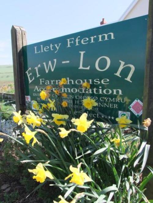 Erw-lon Farm, Pontfaen, 