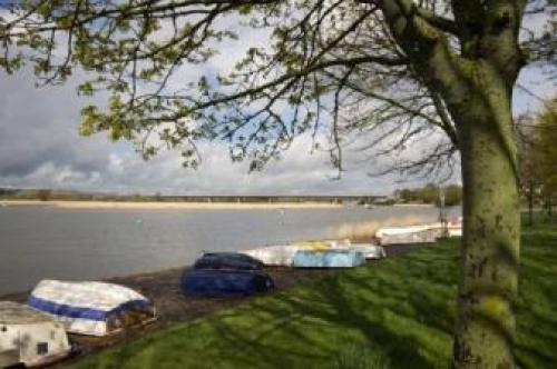 The Globe, Topsham, 