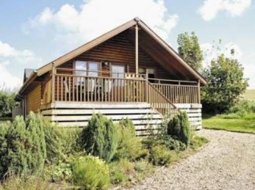 Heather - 27966, Torrington, Devon