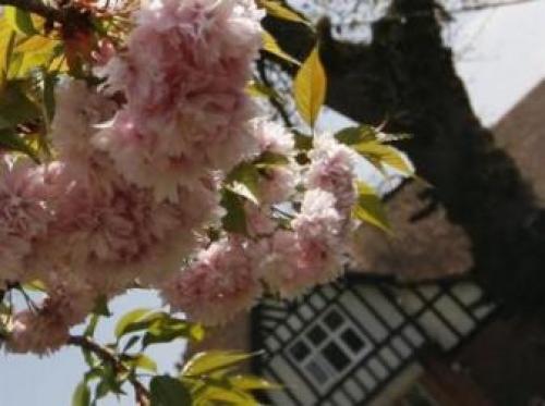 Henwick House, Kempsey, 
