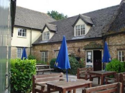 The Old Pheasant, Wing, 