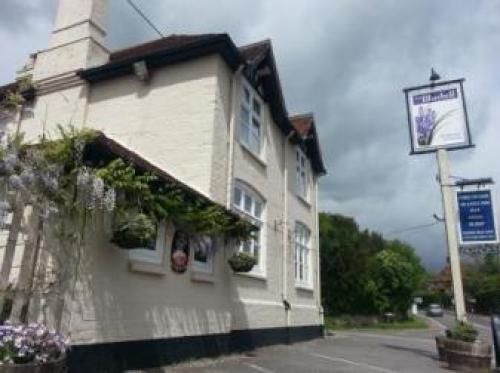 The Blue Bell, Midhurst, 