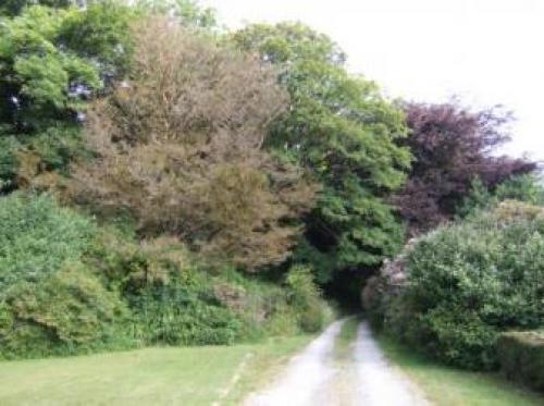 Laston House, Ilfracombe, 
