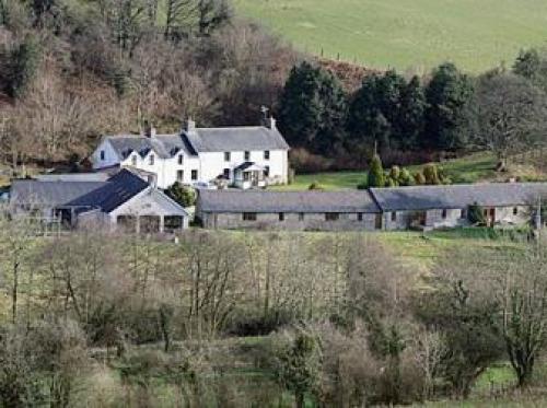 Pipistrel, Lampeter, West Wales