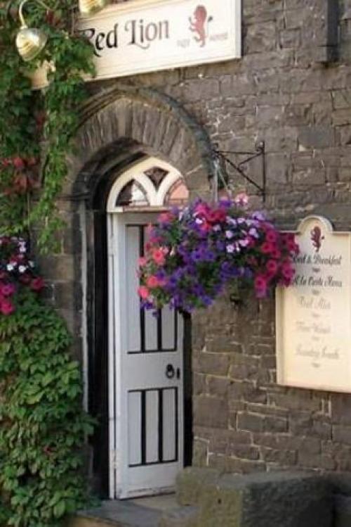 The Red Lion, Llandovery, 