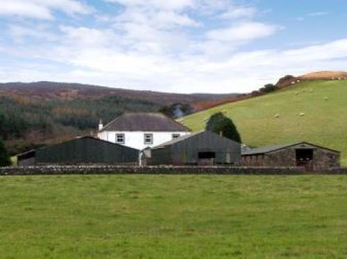 Homestone Farm, Campeltown, 