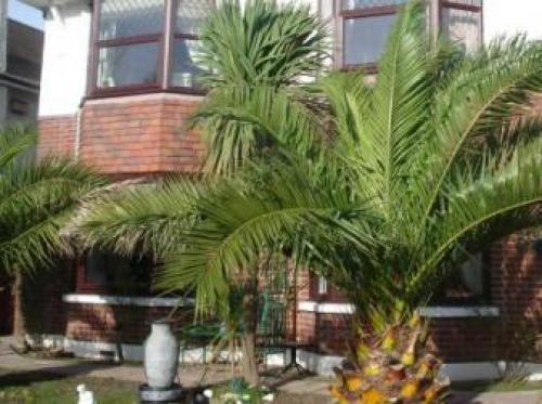Amberlea Guest House, Swanage, 