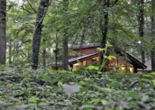 Sherwood Forest Lodges, Rufford, Nottinghamshire
