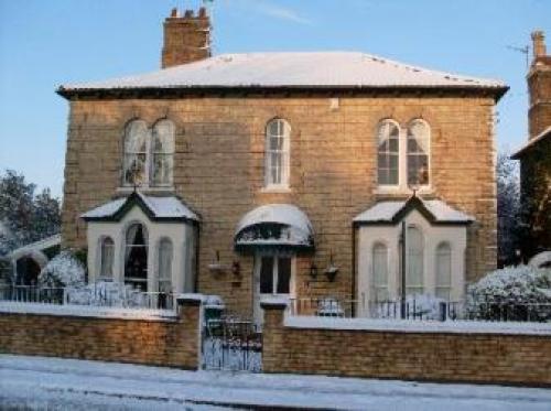 Treehouse, Peterborough, 
