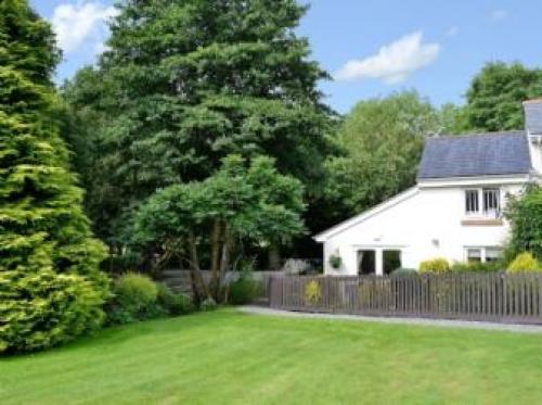 Mole, Umberleigh, Devon