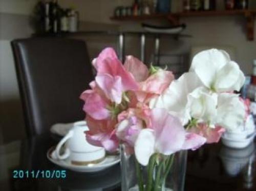Moray Bay Bed And Breakfast, Dalcross, 